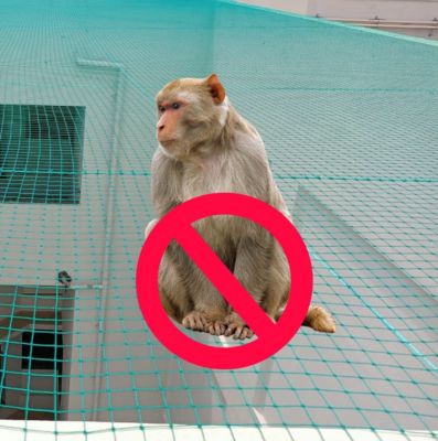 Monkey Safety Nets in Hyderabad | Call 9440088157 for Fast Instal