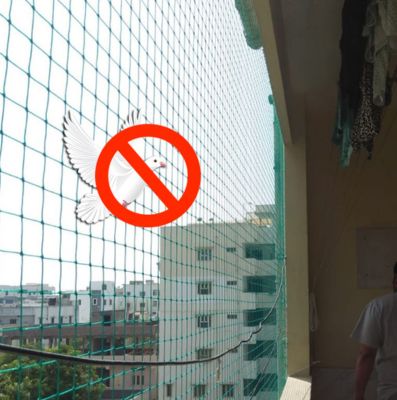 Pigeon Safety Nets in Hyderabad | Call 9440088157 for Free Quote